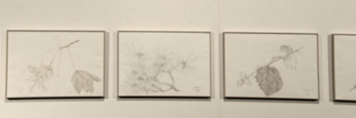 ausstellungen-merdingen-07